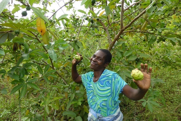 Danbro Help Their Staff Get Their Five A Day By Growing Trees In Africa